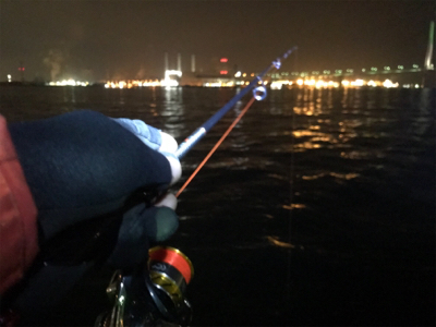 メバリングでカレイ