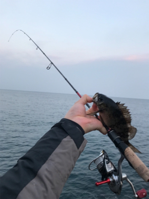 初チタンティップ(釣行 其の七)