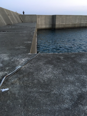 夕方メバルリング