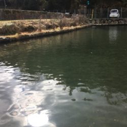 竿先凍る真冬の千早