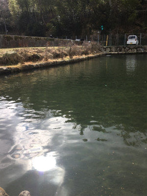 竿先凍る真冬の千早