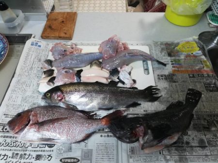 18/01/20 釣堀田尻　サンクス　Ａ筏　釣行