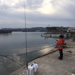 初釣行はガシラちゃん