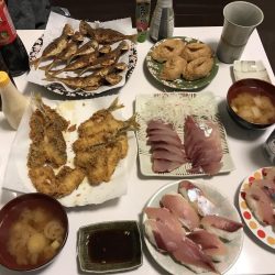 初青モノ 3回ヒット中2回バラし