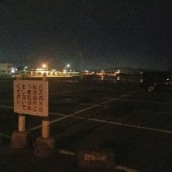 アジ釣り　～夕マズメ最強説～