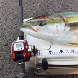 朝イチにヒット