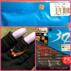 釣り初め!県南調査!セイゴ★ガシラ爆釣★