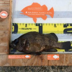 アワカンでメバリング