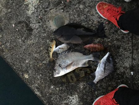 激寒期モンスターハント