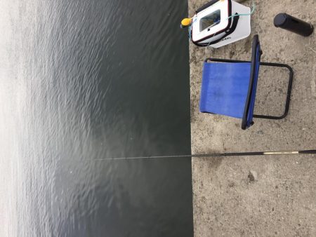 ハネ厳しいです。