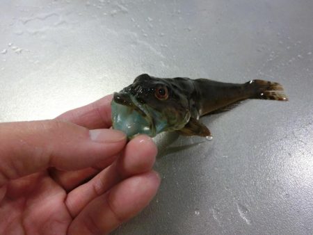 練習がてらライトゲーム