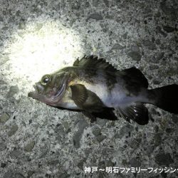 何とかボーズ逃れ