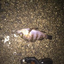 寒さとの戦い！