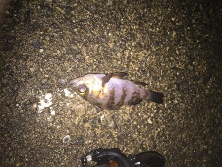 寒さとの戦い！