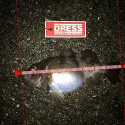 過去最高のメバリング