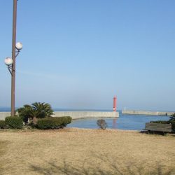 いきなりのアイナメ２３．５㎝