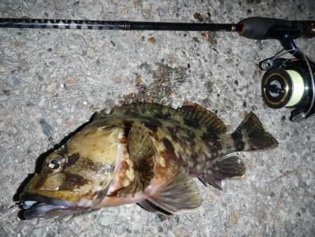 良い引きでした