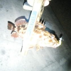 雪がちらついているなか、なんとかヒット！