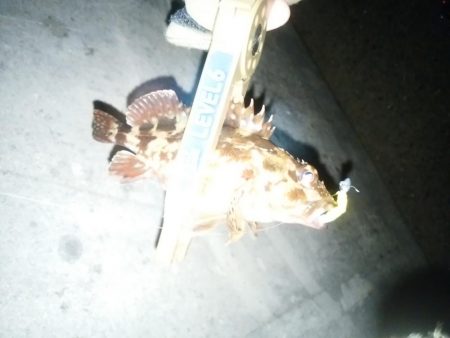 雪がちらついているなか、なんとかヒット！