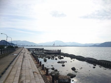 アジキャロで釣れたのは