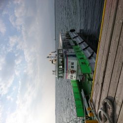 今季太刀魚完全燃焼