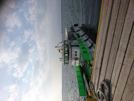 今季太刀魚完全燃焼