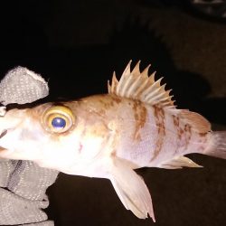 越前海岸ランガン