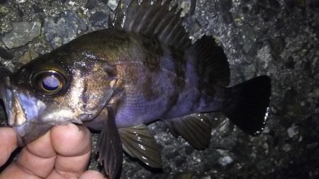 時合は突然に！