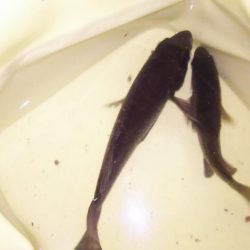 年間最も厳しい時期！