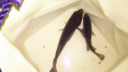 年間最も厳しい時期！