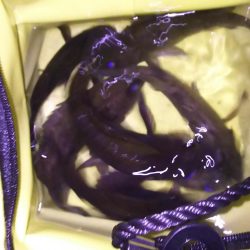 スーパーブルーブラッドムーン メバリング