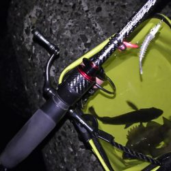 厳寒期小メバリング！