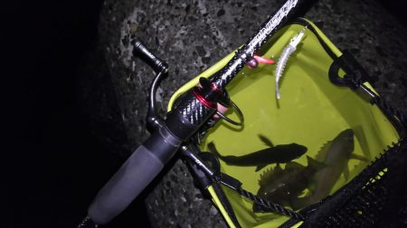 厳寒期小メバリング！