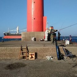 初釣行も播磨新島へ