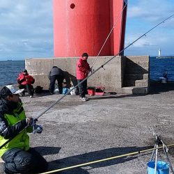播磨新島赤灯台波止へキス釣査