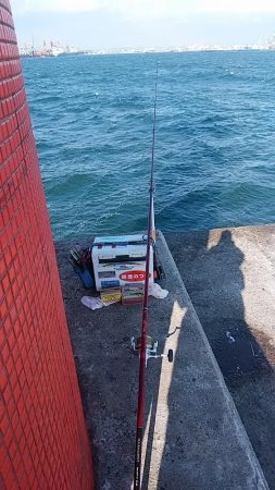 まだ釣れる播磨新島のキス