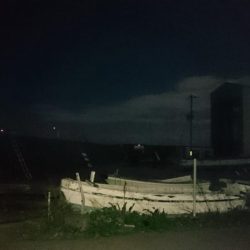 明けましておめでとうございます!