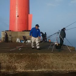 播磨新島赤灯台波止へキス釣査