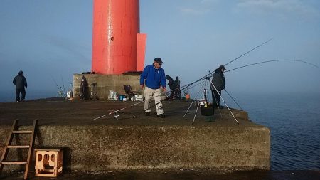 播磨新島赤灯台波止へキス釣査