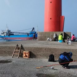 播磨新島のキス釣査