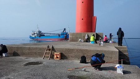播磨新島のキス釣査