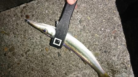 年越しアジング遠征