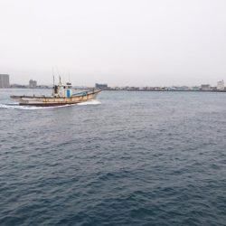 初釣りはめでたい