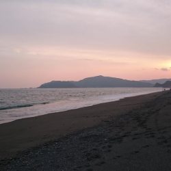 午前不発、午後パッパ！