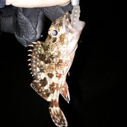 久しぶりの暖かい夜