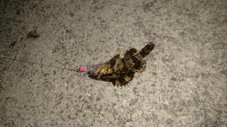 サイズが小さい