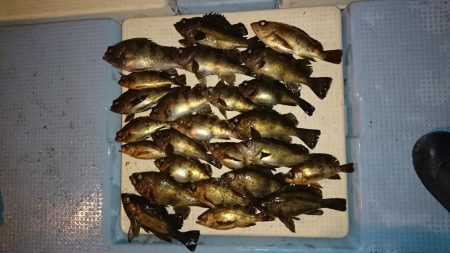 ボートメバリング