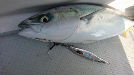 鳴門ジギング釣行