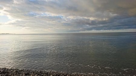 ショアジギノーバイト後、アジ爆釣♪