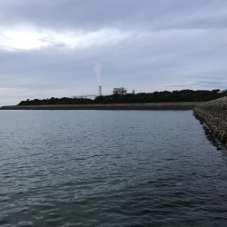 1時間限定メバリング